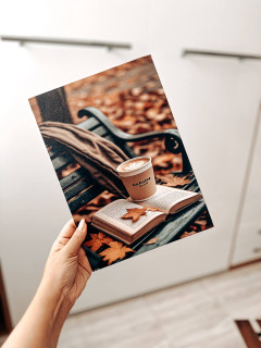 فوم بورد تک رو : D 27